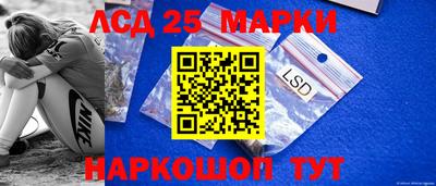 гидропоника Можга
