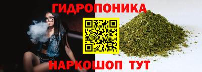 прущие крисы Моздок