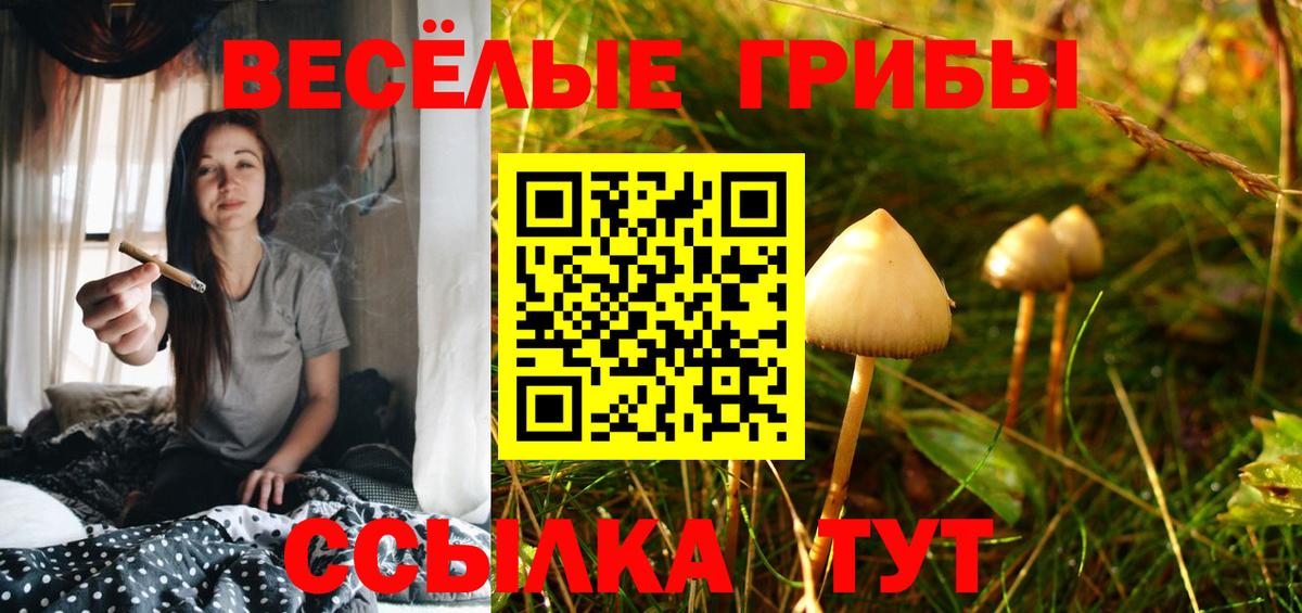Галлюциногенные грибы ЛСД Туапсе