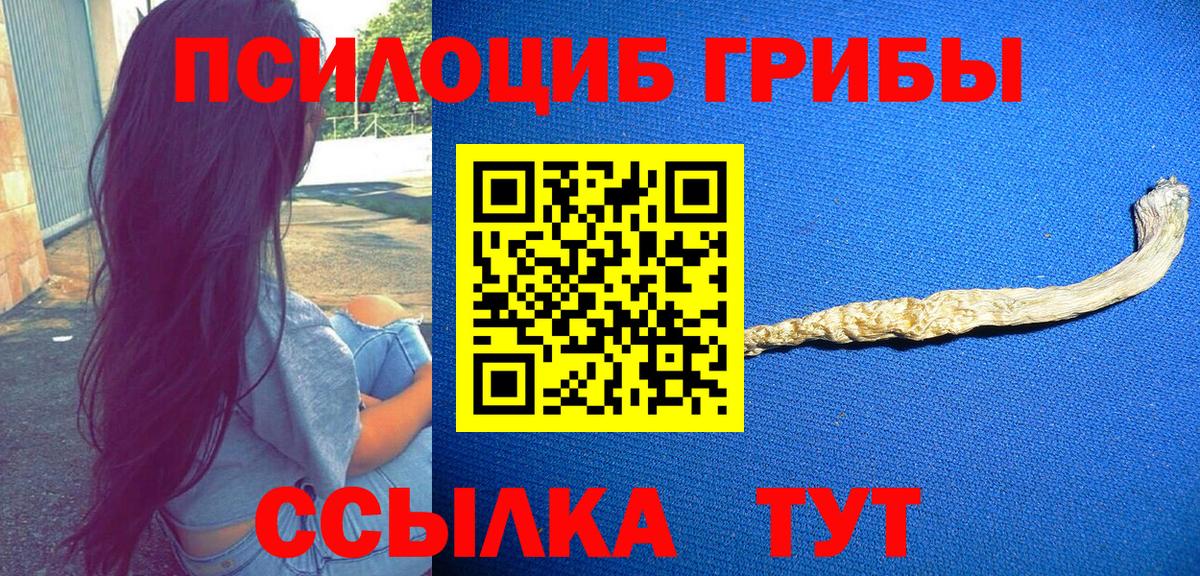 Туапсе  купить закладку  Вход с VPN  Псилоцибиновые грибы Magic Shrooms  Псилоцибиновые грибы мицелий 