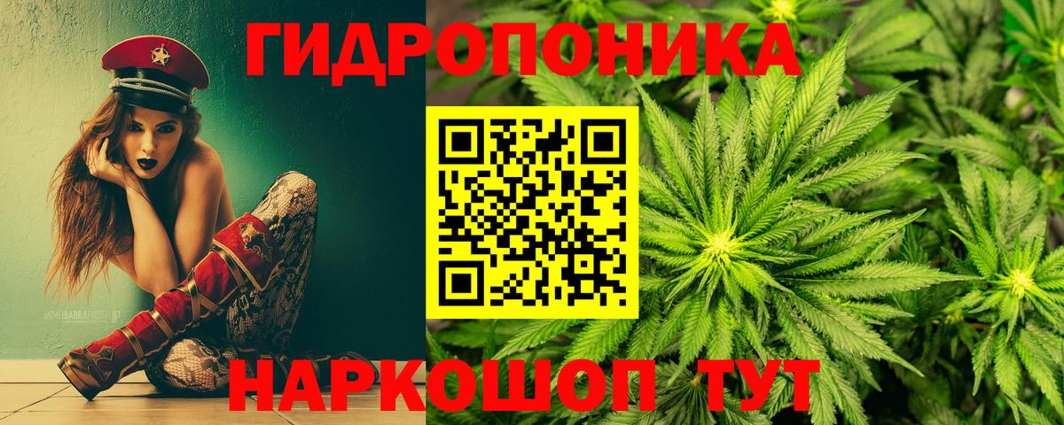 Бошки марихуана тримм  Бошки марихуана THC 21%  Вход с VPN  Шишки марихуана план  Туапсе 